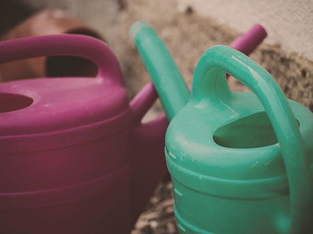 watering can wolfgang rottman - how to make a real christmas tree last longer - inspiration - goodhomesmagazine.com