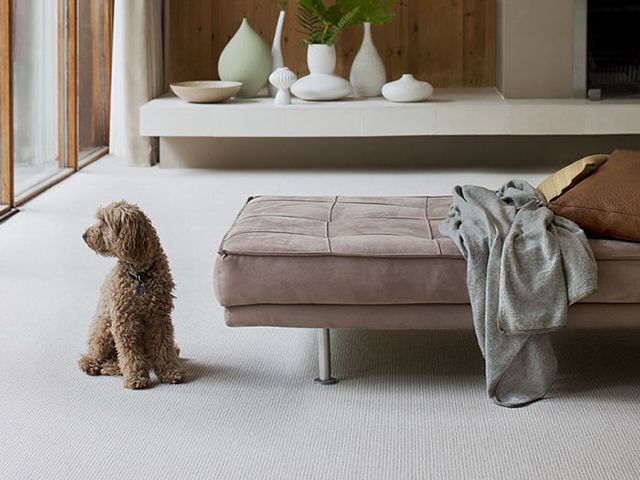 Alternative Flooring Wool Pinstripe dog friendly - goodhomesmagazine.com