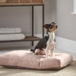 cox & cox dog bed - goodhomesmagazine.com