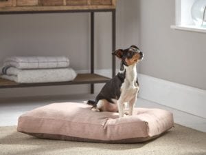 cox & cox dog bed - goodhomesmagazine.com
