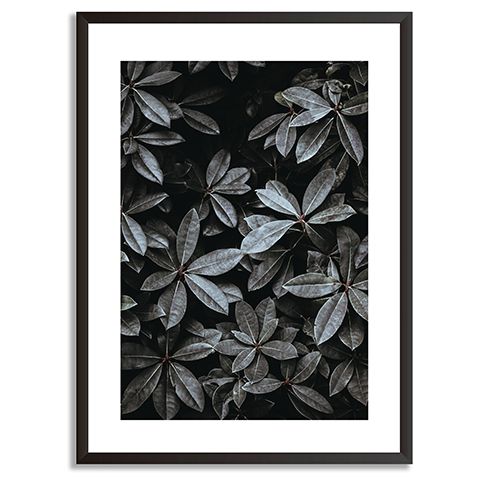 black themed print in frame - black colour palette: our top picks - inspiration - goodhomesmagazine.com