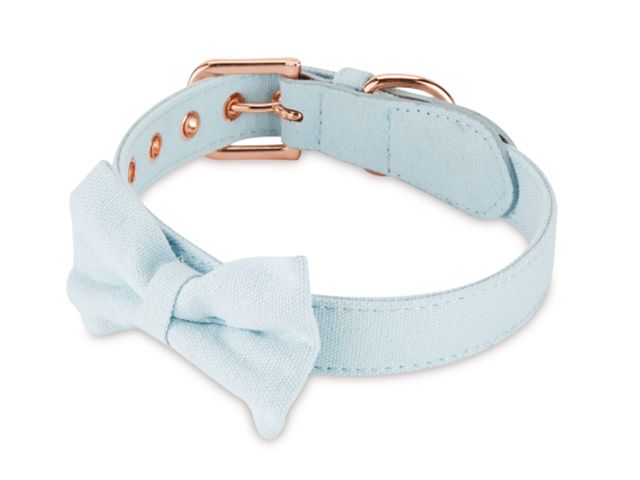 blue tie collar - Celebrate National Love Your Pet Day with Aldi's latest range - news - goodhomesmagazine.com