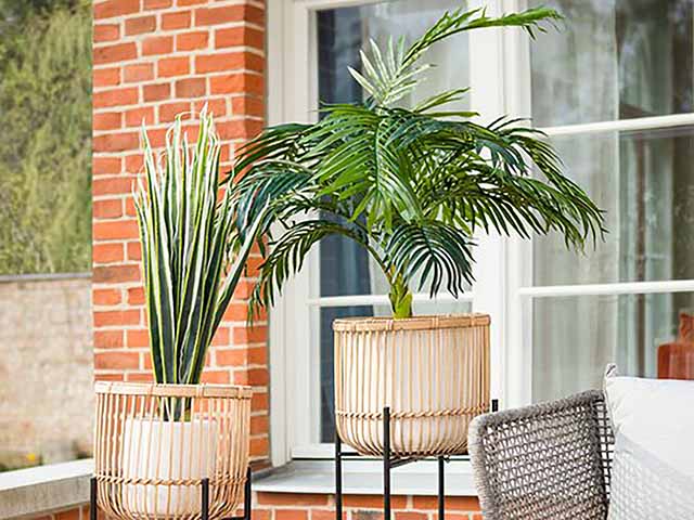 Spring garden potted plants outdoors, goodhomesmagazine.com