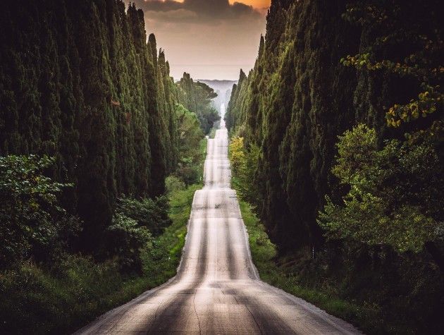 a road surrounded by trees in Tuscany italy