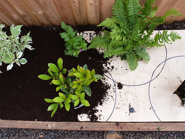 eco garden border - how to paint an eco-friendly garden border - garden - goodhomesmagazine.com