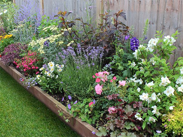 garden flower border - how to plant an eco-friendly garden border - garden - goodhomesmagazine.com