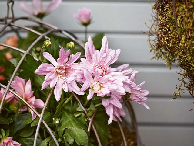 hanging baskets - how to create your own modern container garden - garden - goodhomesmagazine.com