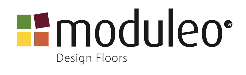 moduleo logo copy