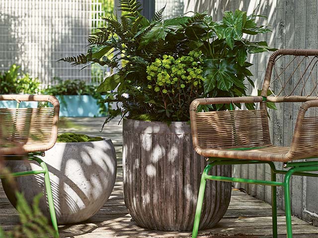 small garden space - how to create your own modern container garden - garden - goodhomesmagazine.com