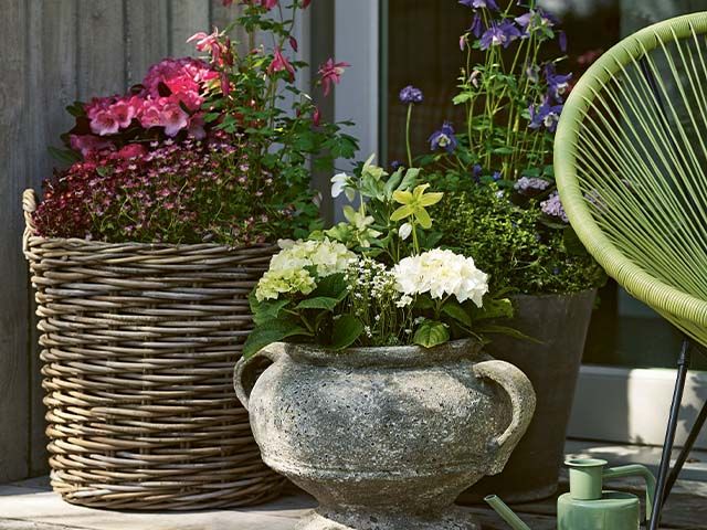 small outdoor planters - how to create your own modern container garden - garden - goodhomesmagazine.com