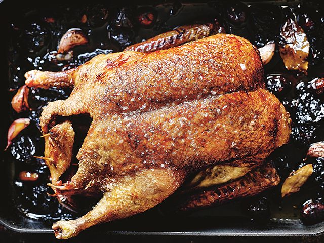 Pato Con Ciruelas duck recipe