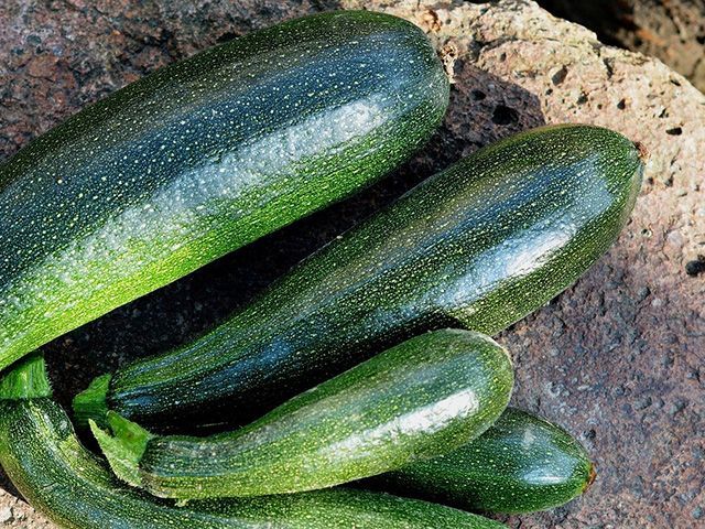 courgettes and marrow growing in garden - goodhomesmagazine.com