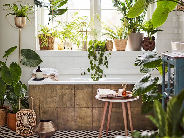 dobbies houseplants - where to buy plants online during lockdown - shopping - goodhomesmagazine.com