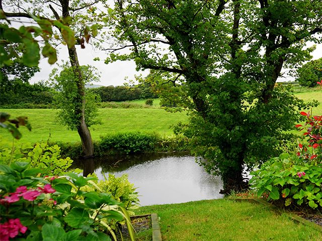 evergreen garden with pond - where to find garden inspiration during lockdown - garden - goodhomesmagazine.com