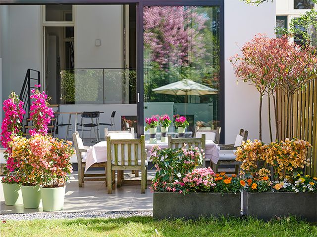 flowers in garden - these 7 easy changes can add £50,000 to the value of your home - inspiration - goodhomesmagazine.com