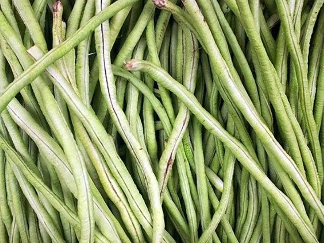 french bean growing in a garden - goodhomesmagazine.com