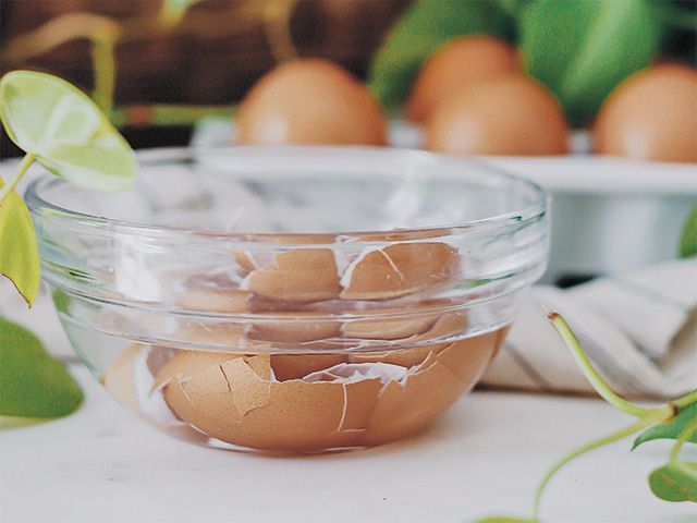 how to repurpose eggshells - inspiration - goodhomesmagazine.com