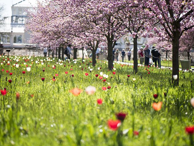 kew gardens - where to find garden inspiration during lockdown - garden - goodhomesmagazine.com