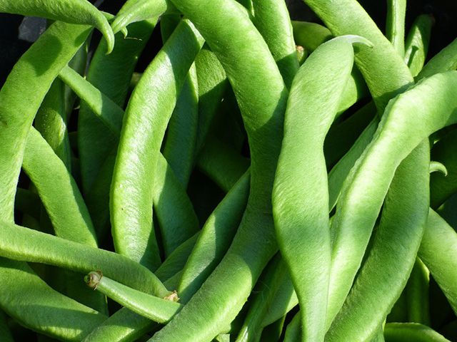 runner beans growing in a garden - goodhomesmagazine.com