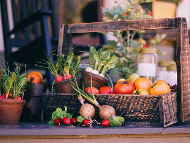 vegetable basket grown in garden - goodhomesmagazine.com