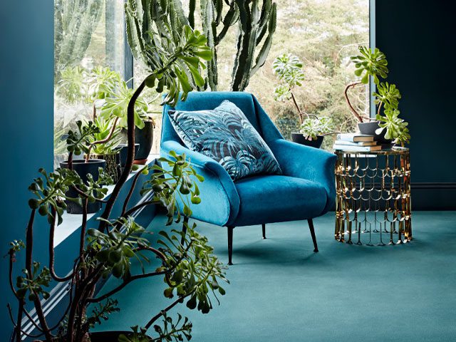 Colour-drenching with walls, carpet and accent chair in teal