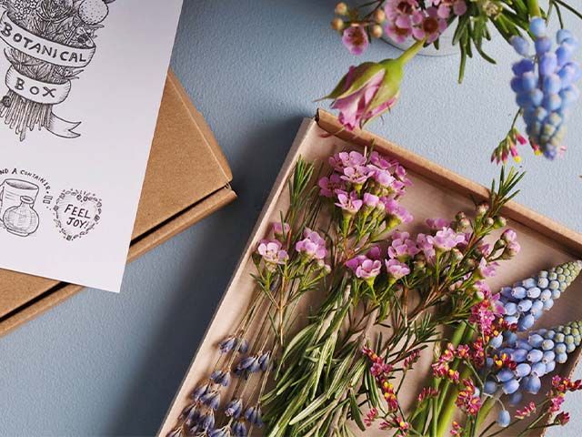 flower care package - 5 thoughtful care packages you can send to a loved one - inspiration - goodhomesmagazine.com