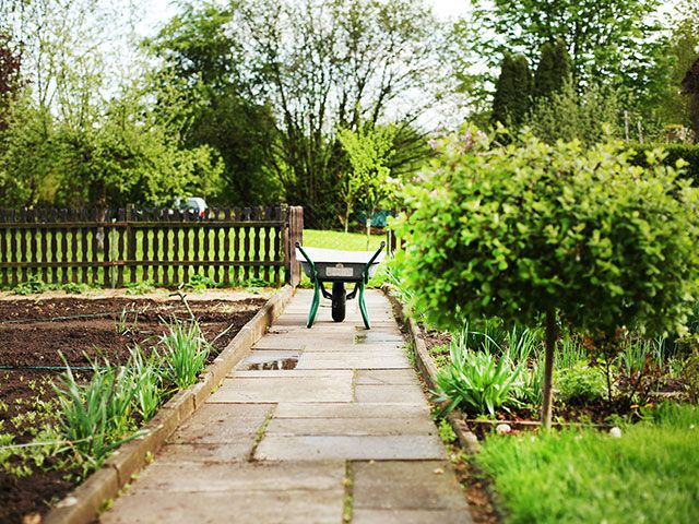 new wheel barrow - win tickets for the RHS Chelsea Flower Show 2021 - competitions - goodhomesmagazine.com