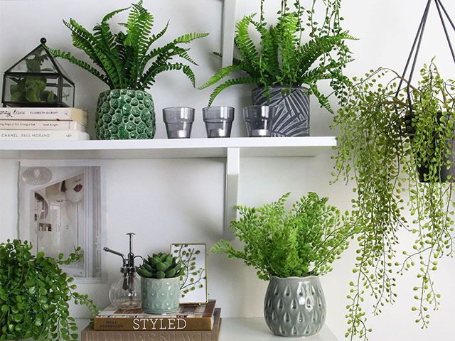 plants on shelves - 5 ways to add wow factor to your interiors - inspiration - goodhomesmagazine.com