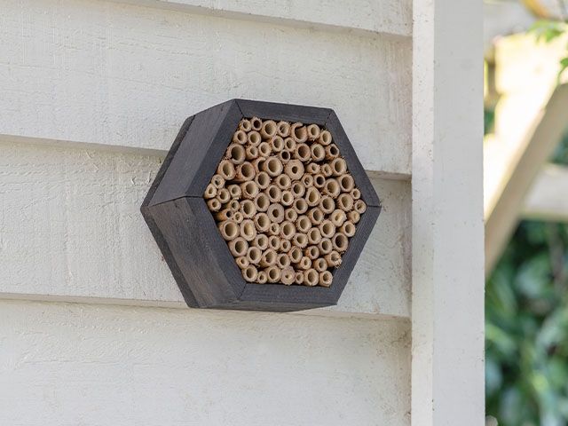 bee hotel - fathers day gifts for under £50 - shopping - goodhomesmagazine.com