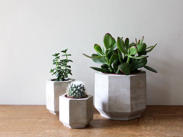 concrete plant pots - 7 stylish concrete items for your home - shopping - goodhomesmagazine.com