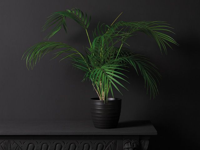 faux plant on mantel - 5 of the best artificial houseplants - shopping - goodhomesmagazine.com