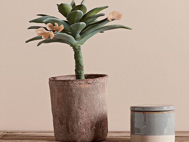potted succulent - 5 of the best artificial houseplants - shopping - goodhomesmagazine.com