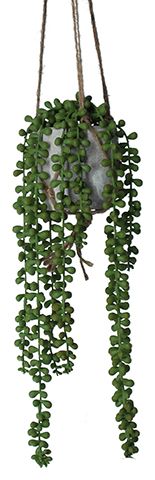 string of pearls - 5 of the best artificial houseplants - shopping - goodhomesmagazine.com