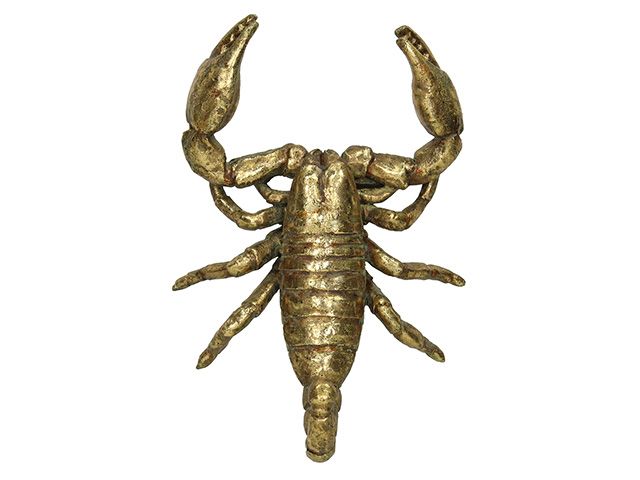Gold Animal Wall Décor Scorpion from audenza - - shopping - goodhomesmagazine.com