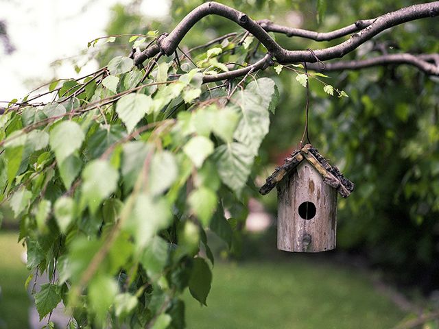 bird feeder - how to make your garden eco-friendly - garden - goodhomesmagazine.com