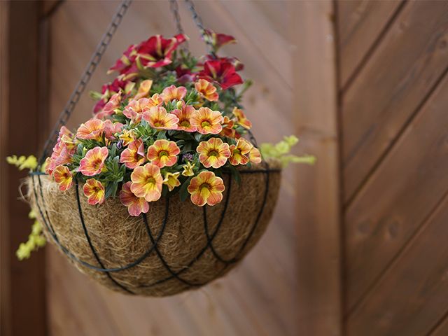 hanging baskets - top tips for making a small garden look bigger - garden - goodhomesmagazine.com