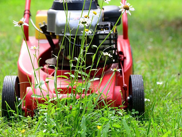 lawn mower - step-by-step guide to summer gardening - garden - goodhomesmagazine.com
