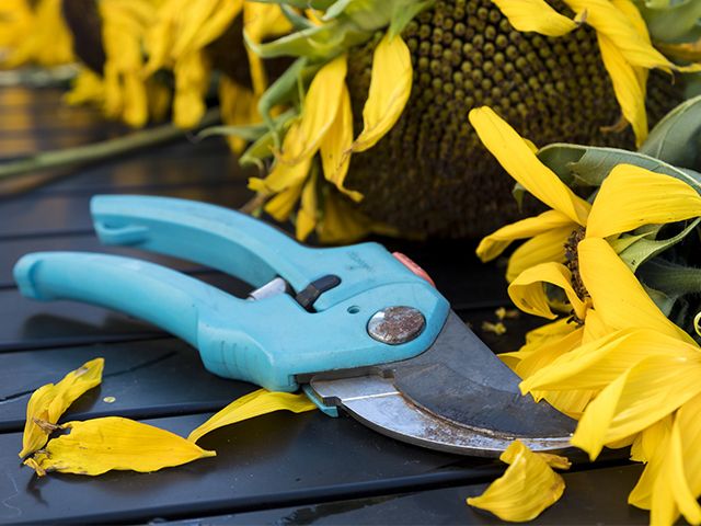 pruning clippers - step-by-step guide to summer gardening - garden - goodhomesmagazine.com