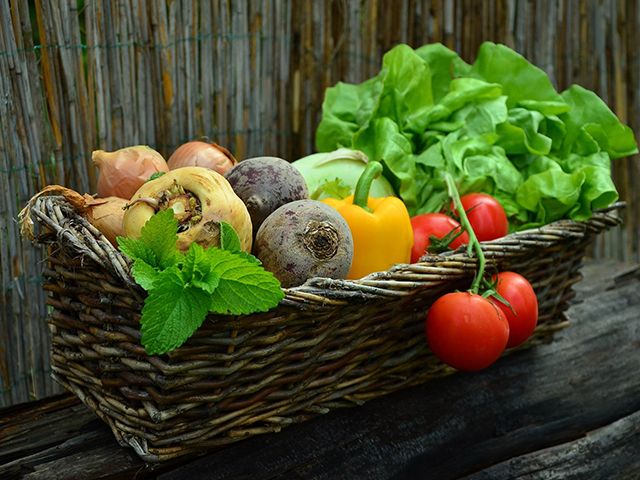 vegetables in basket - how to make your garden eco-friendly - garden - goodhomesmagazine.com