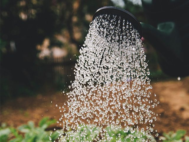 watering can - how to make your garden eco-friendly - garden - goodhomesmagazine.com