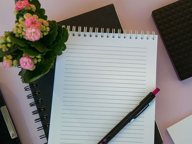 kalanchoe plant on a pink desk - vesi boycheva - shutterstock 