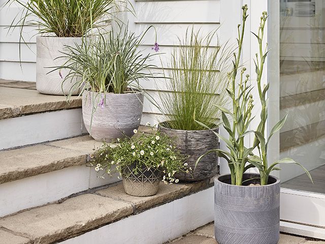 Urban Coastal garden design with potted plants and grasses - goodhomesmagazine.com