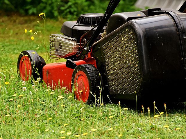 lawnmower in the garden