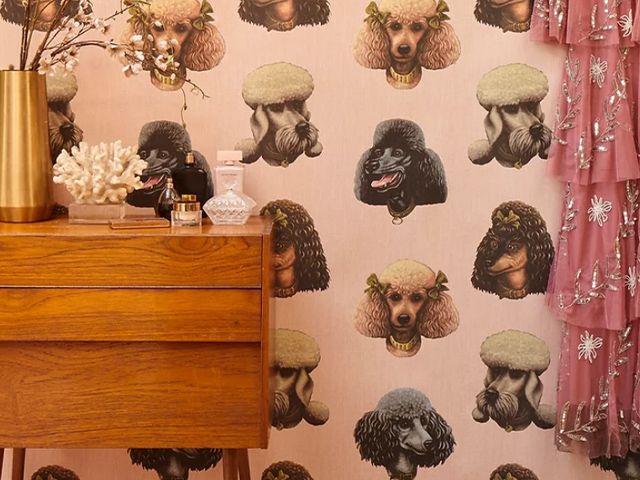 poodle wallpaper - 6 of the best dog-themed homeware - inspiration - goodhomesmagazine.com