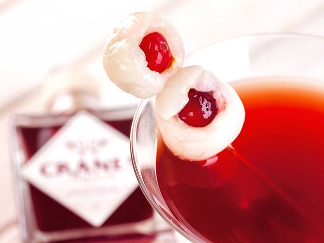 bloody martini - 4 halloween-themed cocktail recipes - kitchen - goodhomesmagazine.com