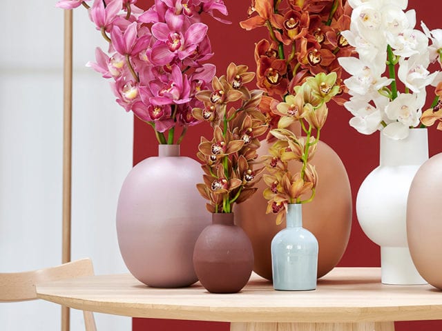 cymbidium flowers in modern home setting - goodhomesmagazine.com