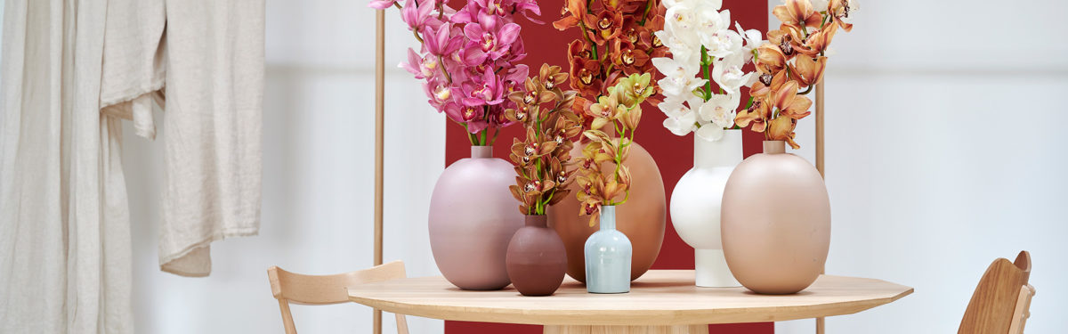 cymbidium flowers in modern home setting - goodhomesmagazine.com