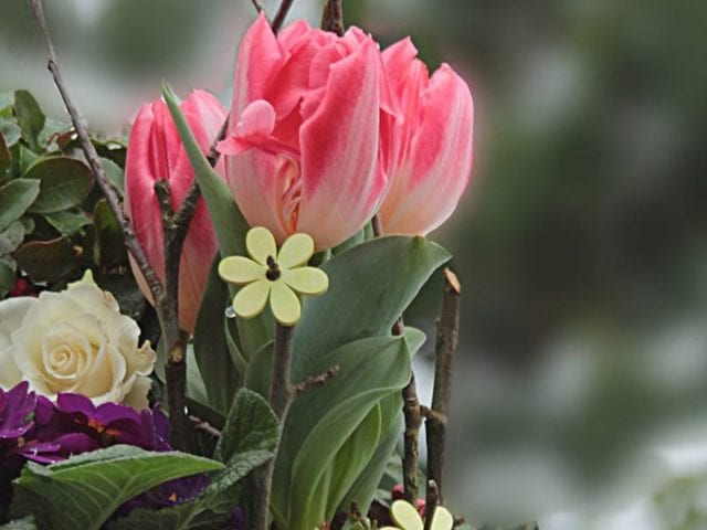 winter garden landscape - garden - goodhomesmagazine.com