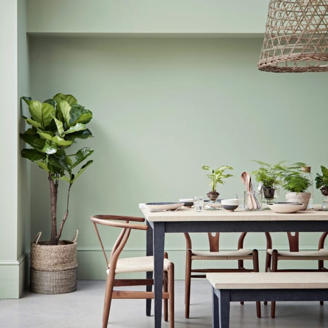 dining room with table, chairs, bench, plant and green walls
