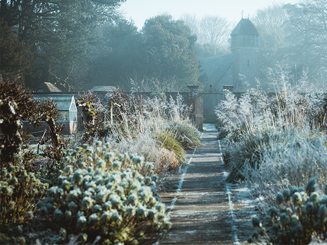 winter garden scene